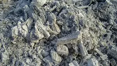 なぜ私たちは庭に灰を正しく施用できないのか：植物も土壌も嫌う3つの施用ミス。そしてそれが役に立たない場合