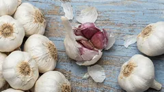 捨てないでください：植物の土にニンニクの皮を加えることが推奨される理由と、その有用性について。