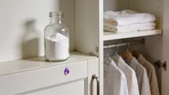 大きな塩や米は必要ありません：クローゼットの湿った臭いを除去し、カビの発生を防ぐ秘訣です。