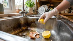 なぜ私は卵の殻を捨てるのをやめたのか―そしてそれが実際に効果を発揮する場所