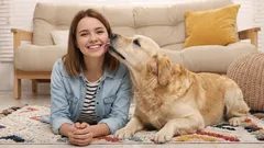 犬があなたを守っている10の証拠