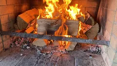 家で燃やしてはいけない薪の種類:これらの種類は暖かくならない