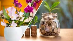 12の幸運をもたらす観葉植物:家に幸運と幸福をもたらす花